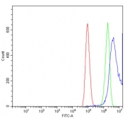 Flow cytometry testing of human HepG2 cells with DUSP6 antibody at 1ug/million cells (blocked with goat sera); Red=cells alone, Green=isotype control, Blue= DUSP6 antibody.