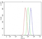 Flow cytometry testing of human HepG2 cells with Aldehyde Dehydrogenase 1A1 antibody at 1ug/million cells (blocked with goat sera); Red=cells alone, Green=isotype control, Blue= Aldehyde Dehydrogenase 1A1 antibody.