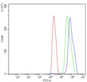 Flow cytometry testing of rat C6 cells with Nuclear factor 1 B-type antibody at 1ug/million cells (blocked with goat sera); Red=cells alone, Green=isotype control, Blue= Nuclear factor 1 B-type antibody.
