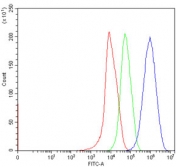 Flow cytometry testing of human HepG2 cells with ACSL4 antibody at 1ug/million cells (blocked with goat sera); Red=cells alone, Green=isotype control, Blue= ACSL4 antibody.