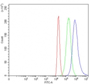 Flow cytometry testing of human 293T cells with Fibroblast Growth Factor Receptor 3 antibody at 1ug/million cells (blocked with goat sera); Red=cells alone, Green=isotype control, Blue= Fibroblast Growth Factor Receptor 3 antibody.