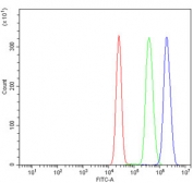 Flow cytometry testing of human K562 cells with GATA1 antibody at 1ug/million cells (blocked with goat sera); Red=cells alone, Green=isotype control, Blue= GATA1 antibody.