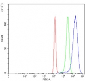 Flow cytometry testing of human U-2 OS cells with GATA6 antibody at 1ug/million cells (blocked with goat sera); Red=cells alone, Green=isotype control, Blue= GATA6 antibody.