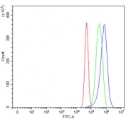 Flow cytometry testing of human U-87 MG cells with Nitric oxide synthase antibody at 1ug/million cells (blocked with goat sera); Red=cells alone, Green=isotype control, Blue= Nitric oxide synthase antibody.