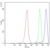 Flow cytometry testing of human Jurkat cells with ATG4B antibody at 1ug/million cells (blocked with goat sera); Red=cells alone, Green=isotype control, Blue= ATG4B antibody.