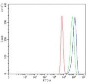 Flow cytometry testing of human U-87 MG cells with Atlastin-1 antibody at 1ug/million cells (blocked with goat sera); Red=cells alone, Green=isotype control, Blue= Atlastin-1 antibody.