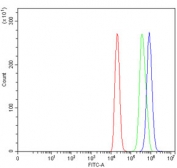 Flow cytometry testing of rat C6 cells with Bromodomain-containing protein 4 antibody at 1ug/million cells (blocked with goat sera); Red=cells alone, Green=isotype control, Blue= Bromodomain-containing protein 4 antibody.