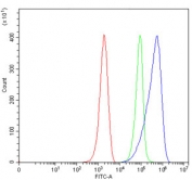 Flow cytometry testing of mouse ANA-1 cells with CD80 antibody at 1ug/million cells (blocked with goat sera); Red=cells alone, Green=isotype control, Blue= CD80 antibody.