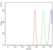 Flow cytometry testing of human U-87 MG cells with CDKN2D antibody at 1ug/million cells (blocked with goat sera); Red=cells alone, Green=isotype control, Blue= CDKN2D antibody.