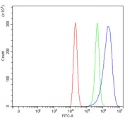 Flow cytometry testing of human ThP-1 cells with AMCase antibody at 1ug/million cells (blocked with goat sera); Red=cells alone, Green=isotype control, Blue= AMCase antibody.
