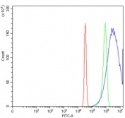 Flow cytometry testing of human HeLa cells with Claudin 18 antibody at 1ug/million cells (blocked with goat sera); Red=cells alone, Green=isotype control, Blue= Claudin 18 antibody.