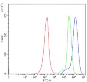 Flow cytometry testing of human Jurkat cells with IRE2 antibody at 1ug/million cells (blocked with goat sera); Red=cells alone, Green=isotype control, Blue= IRE2 antibody.