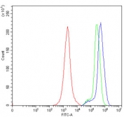 Flow cytometry testing of human Jurkat cells with GAS2 antibody at 1ug/million cells (blocked with goat sera); Red=cells alone, Green=isotype control, Blue= GAS2 antibody.