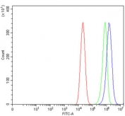 Flow cytometry testing of human Caco-2 cells with GRHL2 antibody at 1ug/million cells (blocked with goat sera); Red=cells alone, Green=isotype control, Blue= GRHL2 antibody.