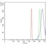 Flow cytometry testing of fixed and permeabilized human HeLa cells with Krueppel-like factor 4 antibody at 1ug/million cells (blocked with goat sera); Red=cells alone, Green=isotype control, Blue= Krueppel-like factor 4 antibody.