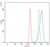 Flow cytometry testing of human ThP-1 cells with SLC6A3 antibody at 1ug/million cells (blocked with goat sera); Red=cells alone, Green=isotype control, Blue= SLC6A3 antibody.