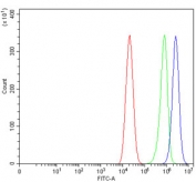Flow cytometry testing of human Caco-2 cells with KLF14 antibody at 1ug/million cells (blocked with goat sera); Red=cells alone, Green=isotype control, Blue= KLF14 antibody.