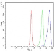 Flow cytometry testing of human Daudi cells with ACADM antibody at 1ug/million cells (blocked with goat sera); Red=cells alone, Green=isotype control, Blue= ACADM antibody.