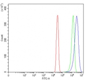 Flow cytometry testing of human SiHa cells with MASPIN antibody at 1ug/million cells (blocked with goat sera); Red=cells alone, Green=isotype control, Blue= MASPIN antibody.