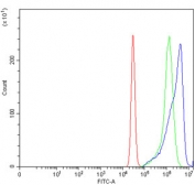 Flow cytometry testing of human K562 cells with ALAS2 antibody at 1ug/million cells (blocked with goat sera); Red=cells alone, Green=isotype control, Blue= ALAS2 antibody.