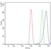 Flow cytometry testing of human PC-3 cells with DSP antibody at 1ug/million cells (blocked with goat sera); Red=cells alone, Green=isotype control, Blue= DSP antibody.