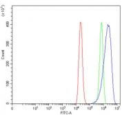 Flow cytometry testing of human ThP-1 cells with EREG1 antibody at 1ug/million cells (blocked with goat sera); Red=cells alone, Green=isotype control, Blue= EREG1 antibody.