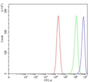 Flow cytometry testing of human Caco-2 cells with DNMT3B antibody at 1ug/million cells (blocked with goat sera); Red=cells alone, Green=isotype control, Blue= DNMT3B antibody.