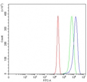 Flow cytometry testing of human HepG2 cells with DSG3 antibody at 1ug/million cells (blocked with goat sera); Red=cells alone, Green=isotype control, Blue= DSG3 antibody.