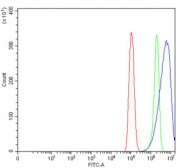 Flow cytometry testing of human PC-3 cells with Eph receptor A3 antibody at 1ug/million cells (blocked with goat sera); Red=cells alone, Green=isotype control, Blue= Eph receptor A3 antibody.