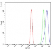 Flow cytometry testing of human A431 cells with Flap endonuclease 1 antibody at 1ug/million cells (blocked with goat sera); Red=cells alone, Green=isotype control, Blue= Flap endonuclease 1 antibody.