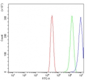 Flow cytometry testing of human A431 cells with FEN1 antibody at 1ug/million cells (blocked with goat sera); Red=cells alone, Green=isotype control, Blue= FEN1 antibody.