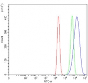 Flow cytometry testing of human ThP-1 cells with TGR5 antibody at 1ug/million cells (blocked with goat sera); Red=cells alone, Green=isotype control, Blue= TGR5 antibody.
