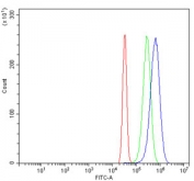 Flow cytometry testing of human SiHa cells with H1F0 antibody at 1ug/million cells (blocked with goat sera); Red=cells alone, Green=isotype control, Blue= H1F0 antibody.