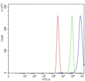 Flow cytometry testing of human MCF7 cells with HCN4 antibody at 1ug/million cells (blocked with goat sera); Red=cells alone, Green=isotype control, Blue= HCN4 antibody.