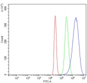 Flow cytometry testing of human HepG2 cells with AHSA1 antibody at 1ug/million cells (blocked with goat sera); Red=cells alone, Green=isotype control, Blue= AHSA1 antibody.