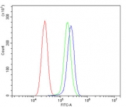 Flow cytometry testing of human U-87 MG cells with ERp57 antibody at 1ug/million cells (blocked with goat sera); Red=cells alone, Green=isotype control, Blue= ERp57 antibody.