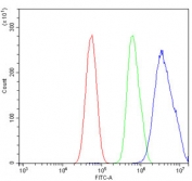 Flow cytometry testing of human U-87 MG cells with Proteasome 20S beta 7 antibody at 1ug/million cells (blocked with goat sera); Red=cells alone, Green=isotype control, Blue= Proteasome 20S beta 7 antibody.