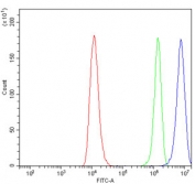 Flow cytometry testing of human RT4 cells with ALDH3 antibody at 1ug/million cells (blocked with goat sera); Red=cells alone, Green=isotype control, Blue= ALDH3 antibody.