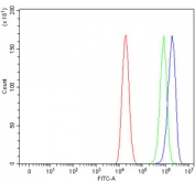 Flow cytometry testing of human Caco-2 cells with Aquaporin 11 antibody at 1ug/million cells (blocked with goat sera); Red=cells alone, Green=isotype control, Blue= Aquaporin 11 antibody.