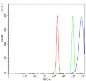 Flow cytometry testing of human HepG2 cells with ACAT2 antibody at 1ug/million cells (blocked with goat sera); Red=cells alone, Green=isotype control, Blue= ACAT2 antibody.