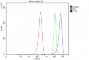 Flow cytometry testing of human MCF7 cells with Junctional adhesion molecule A antibody at 1ug/million cells (blocked with goat sera); Red=cells alone, Green=isotype control, Blue= Junctional adhesion molecule A antibody.