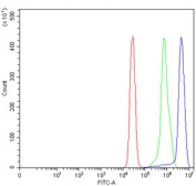 Flow cytometry testing of human HepG2 cells with ANXA3 antibody at 1ug/million cells (blocked with goat sera); Red=cells alone, Green=isotype control, Blue= ANXA3 antibody.