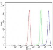 Flow cytometry testing of mouse ANA-1 cells with Ataxin 1 antibody at 1ug/million cells (blocked with goat sera); Red=cells alone, Green=isotype control, Blue= Ataxin 1 antibody.