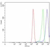 Flow cytometry testing of human Caco-2 cells with Angiomotin antibody at 1ug/million cells (blocked with goat sera); Red=cells alone, Green=isotype control, Blue= Angiomotin antibody.
