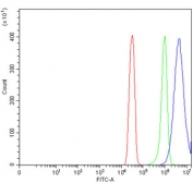 Flow cytometry testing of human SiHa cells with ARHGAP45 antibody at 1ug/million cells (blocked with goat sera); Red=cells alone, Green=isotype control, Blue= ARHGAP45 antibody.