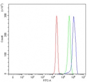 Flow cytometry testing of human HepG2 cells with AXIN2 antibody at 1ug/million cells (blocked with goat sera); Red=cells alone, Green=isotype control, Blue= AXIN2 antibody.