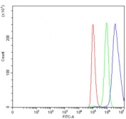 Flow cytometry testing of human A549 cells with Embryonic ectoderm development protein antibody at 1ug/million cells (blocked with goat sera); Red=cells alone, Green=isotype control, Blue= Embryonic ectoderm development protein antibody.