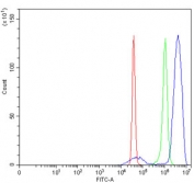 Flow cytometry testing of human SiHa cells with ELK1 antibody at 1ug/million cells (blocked with goat sera); Red=cells alone, Green=isotype control, Blue= ELK1 antibody.