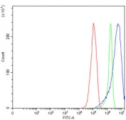 Flow cytometry testing of human RT4 cells with FXR2 antibody at 1ug/million cells (blocked with goat sera); Red=cells alone, Green=isotype control, Blue= FXR2 antibody.