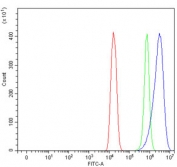 Flow cytometry testing of mouse HEPA1-6 cells with FXR2 antibody at 1ug/million cells (blocked with goat sera); Red=cells alone, Green=isotype control, Blue= FXR2 antibody.